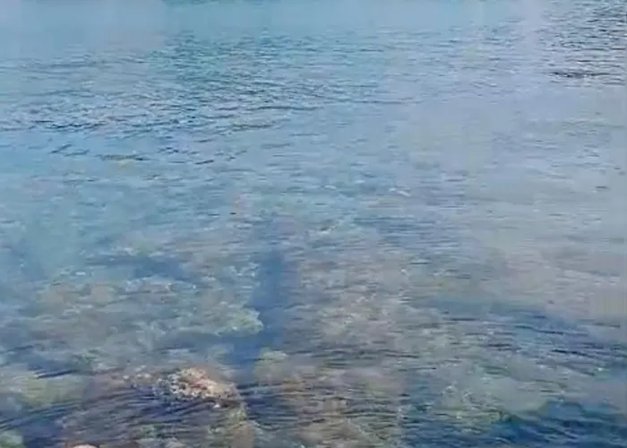 A Due Passi Dal Mare * Rosignano Solvay